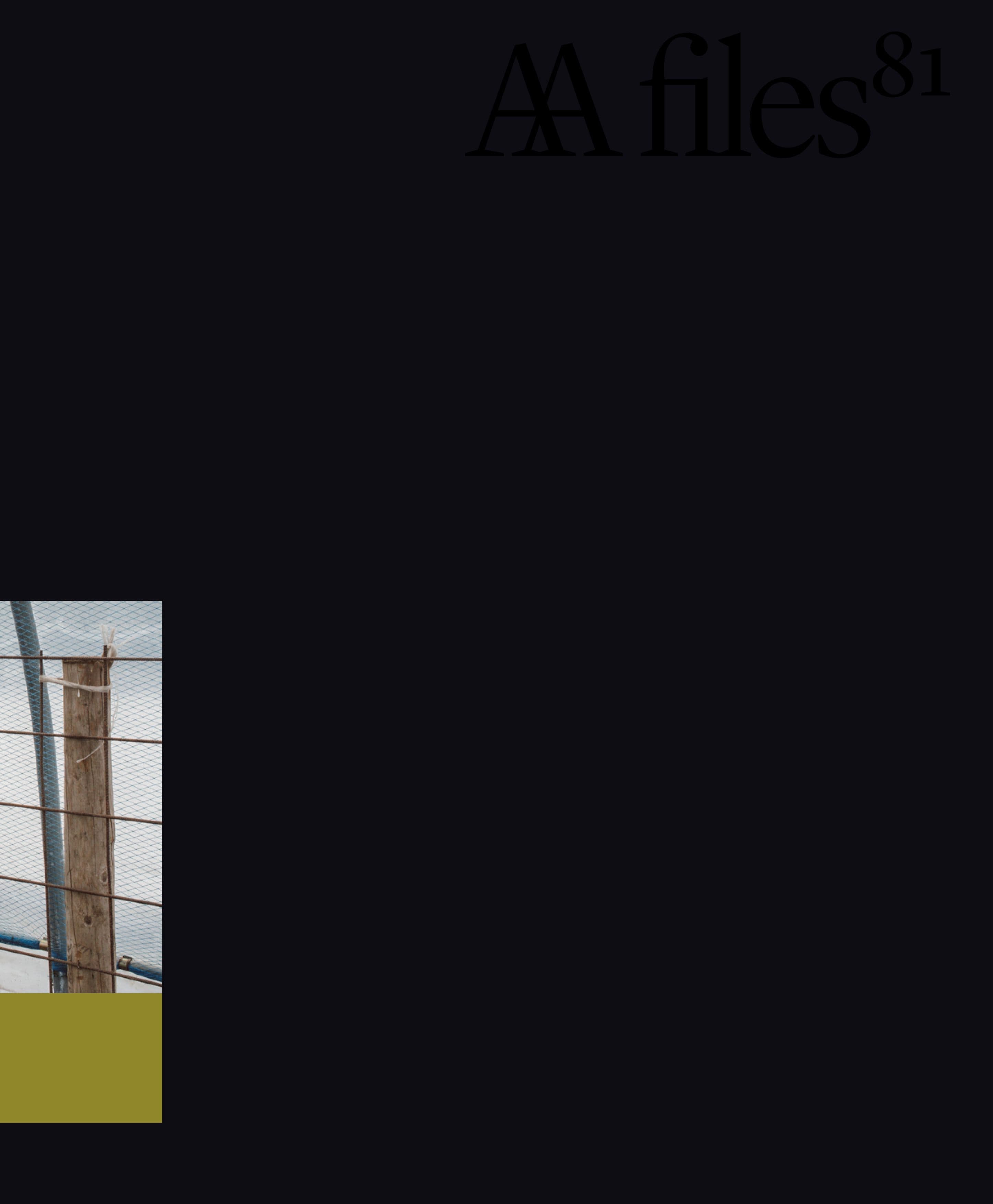 Cover artwork for AA Files 81