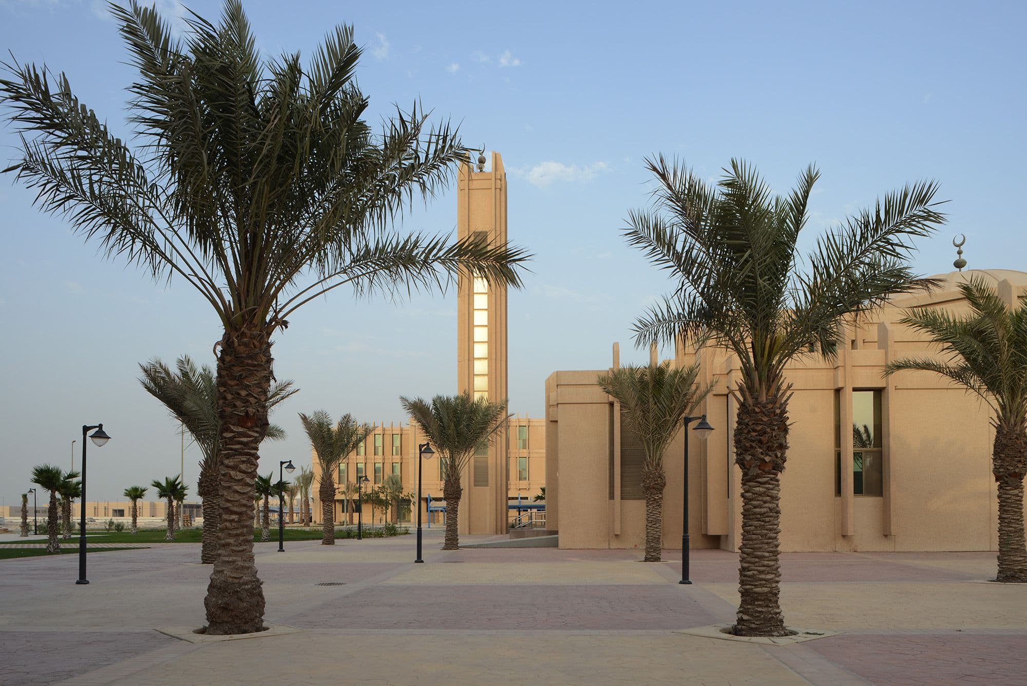 Palm trees frame a modern building with a tall, light-colored tower under a clear sky.