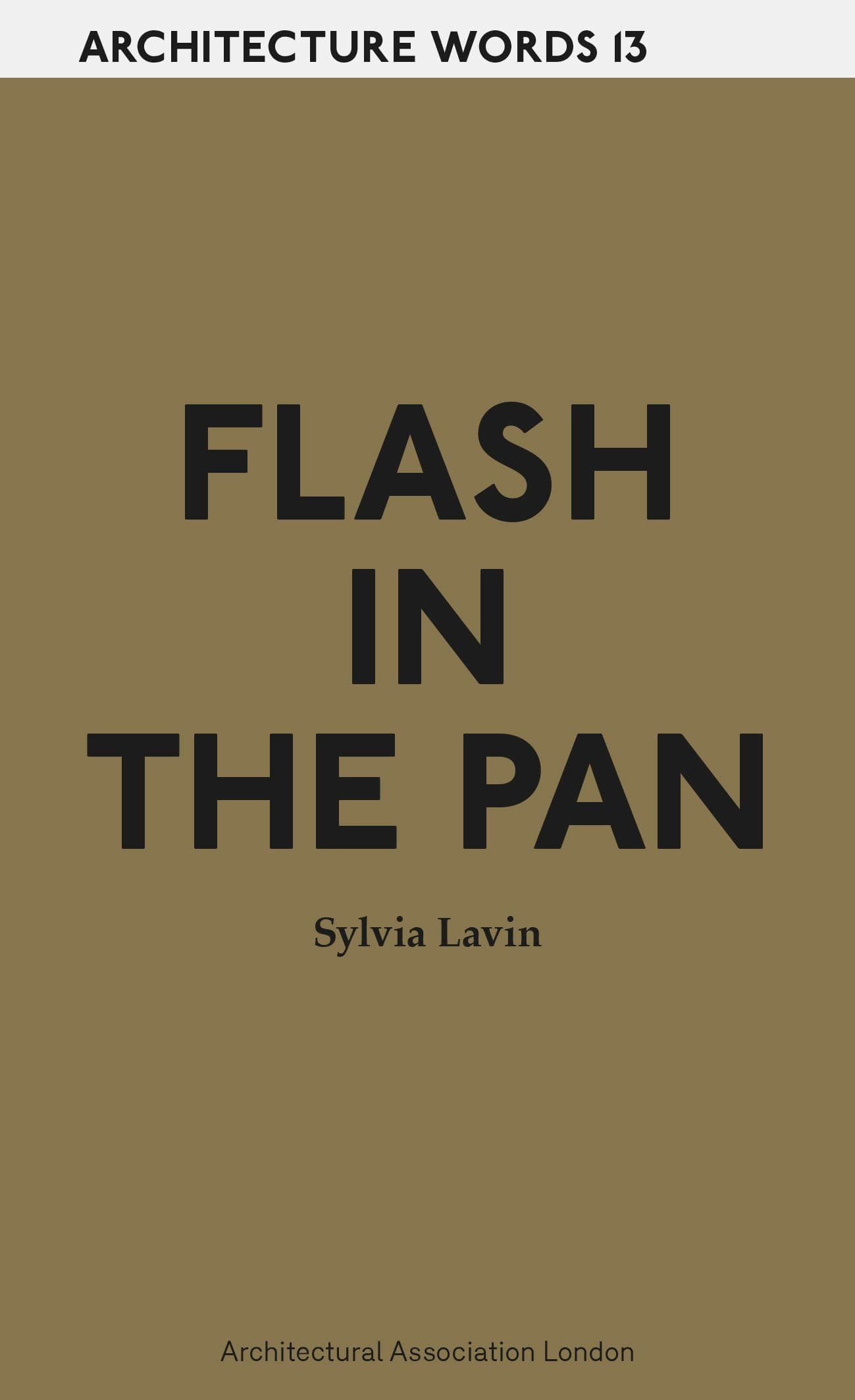 Cover artwork for Architecture Words 13 – Flash in the Pan