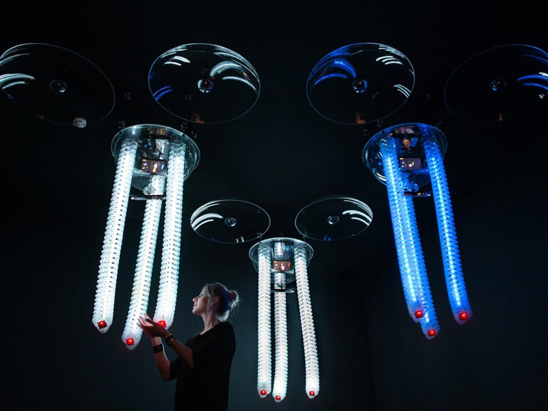 News item featured image