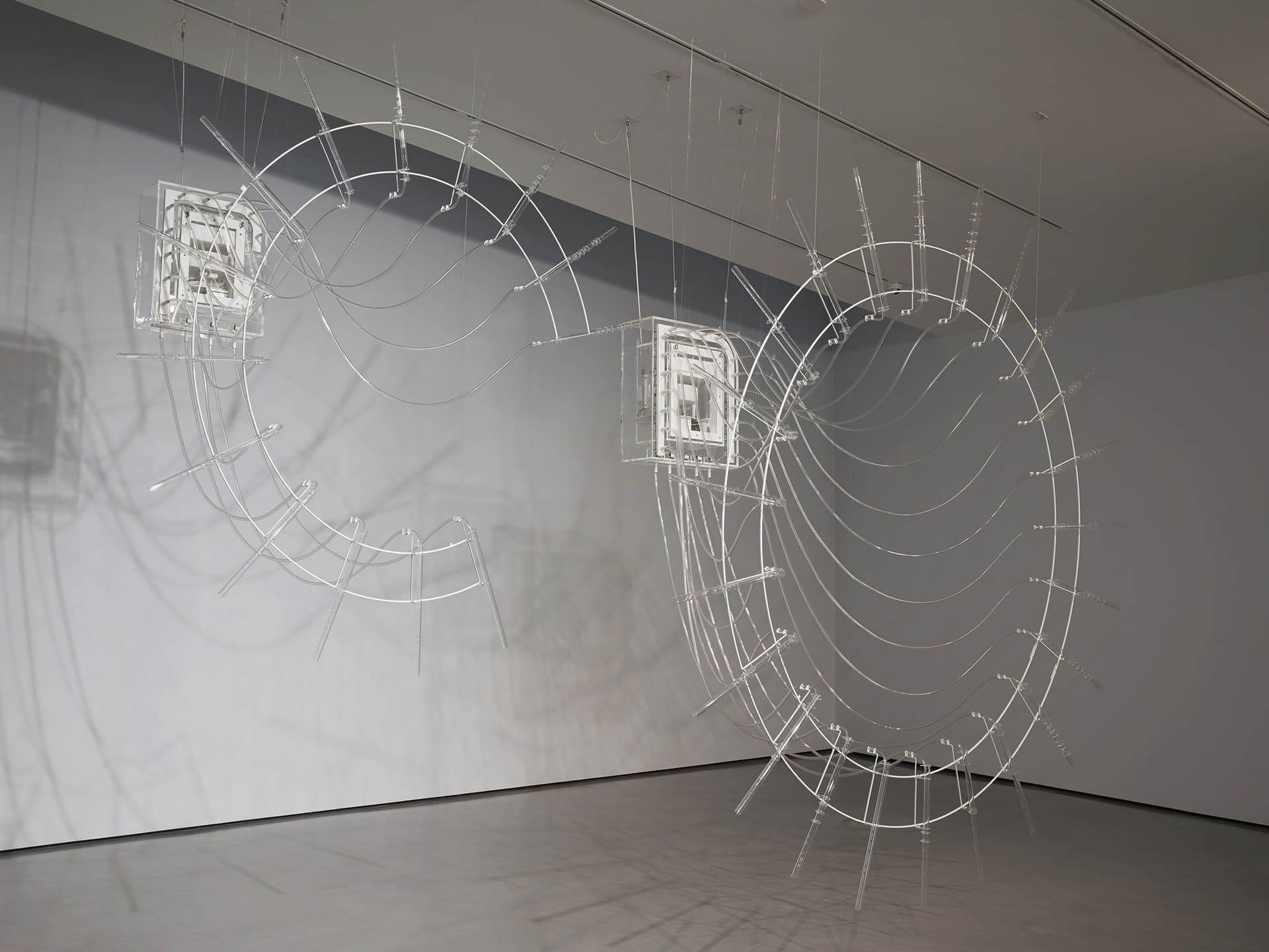 News item featured image