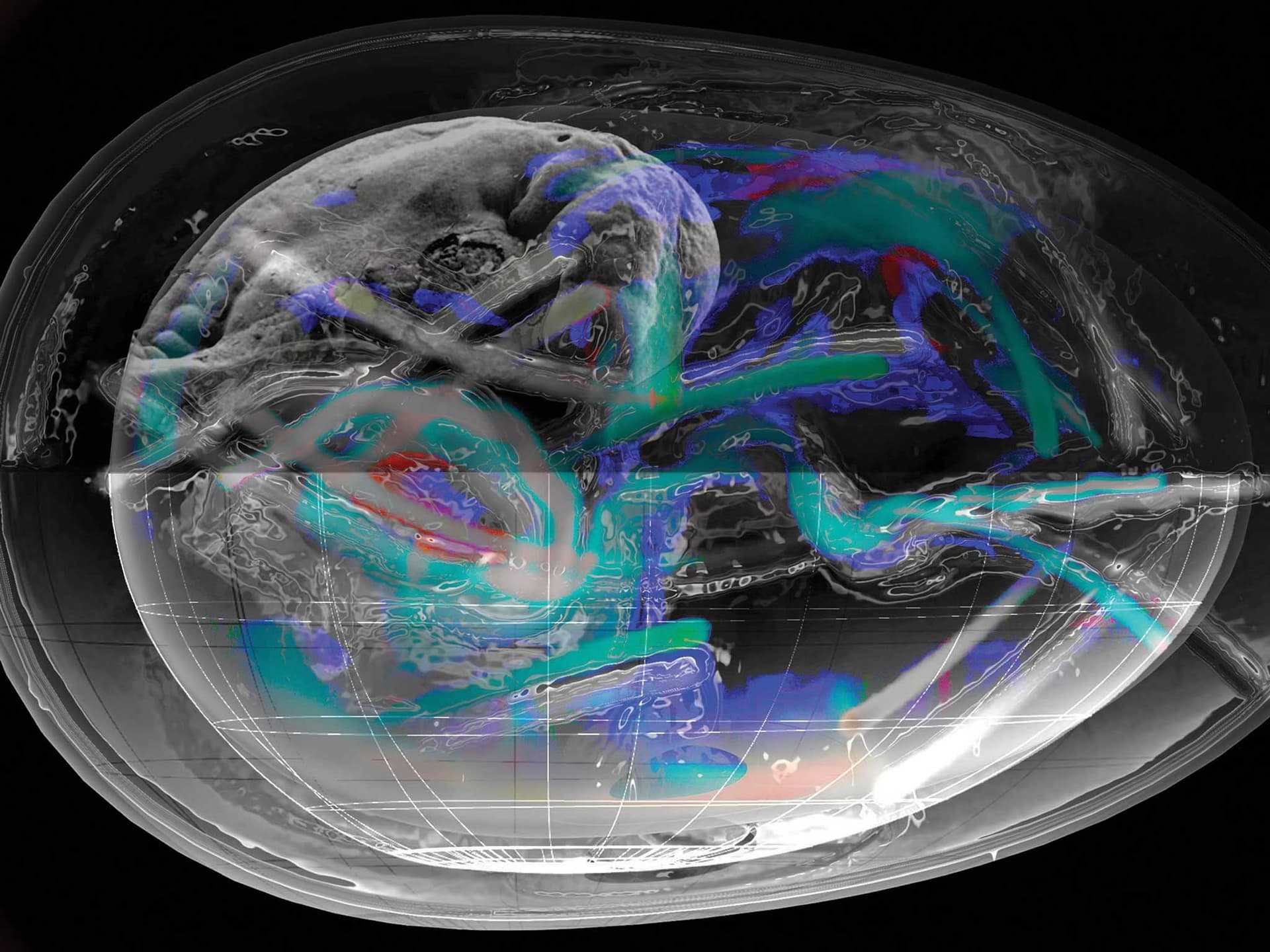 News item featured image