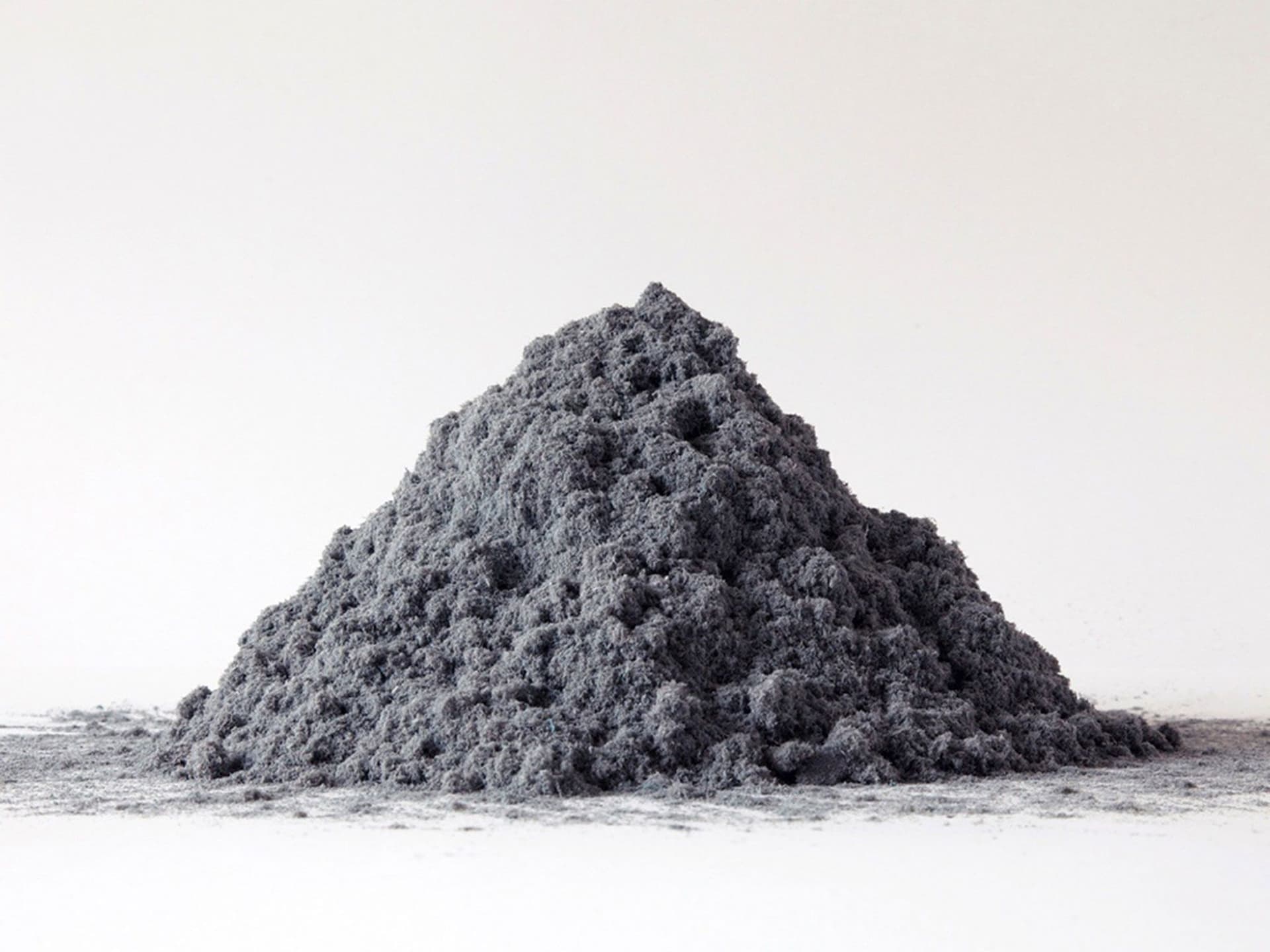 News item featured image