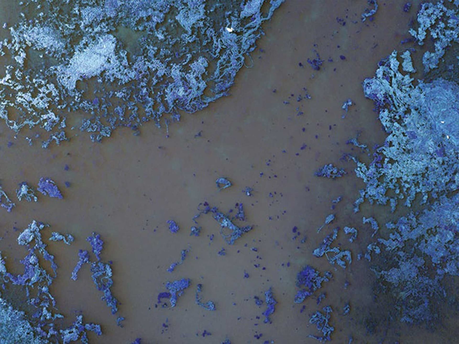 News item featured image