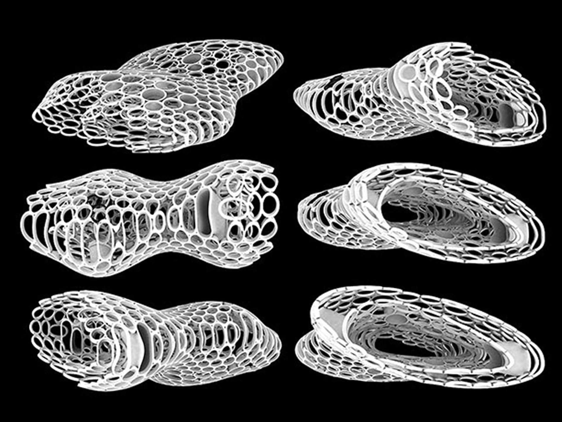 News item featured image