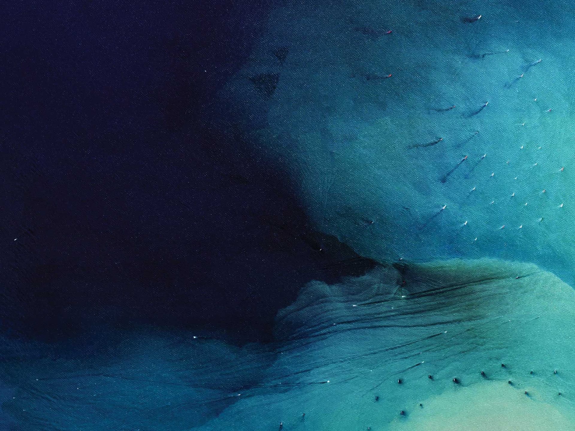 News item featured image