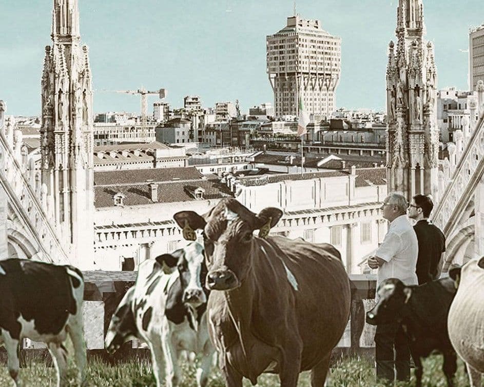 News item featured image