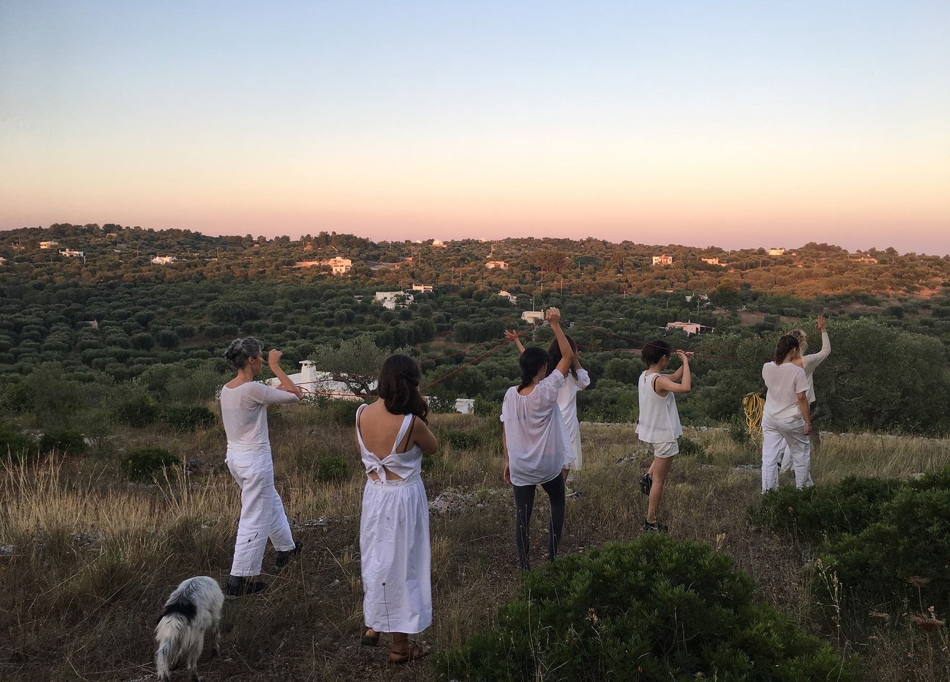 News item featured image