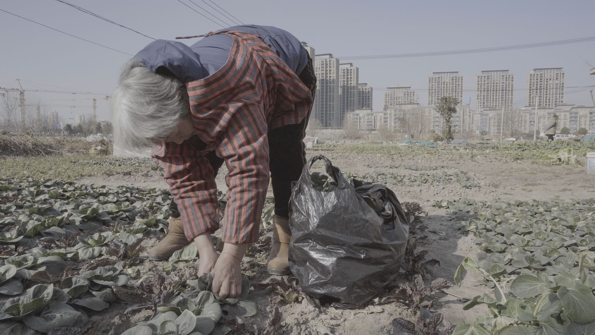 News item featured image