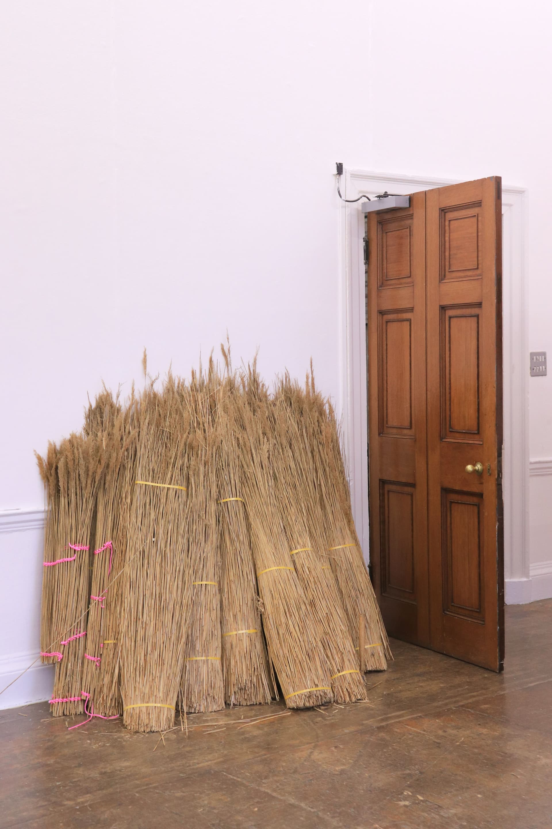 News item featured image