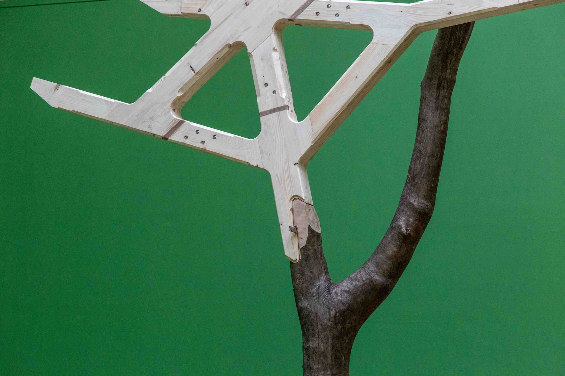 News item featured image