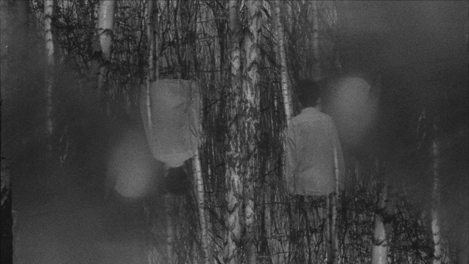 News item featured image