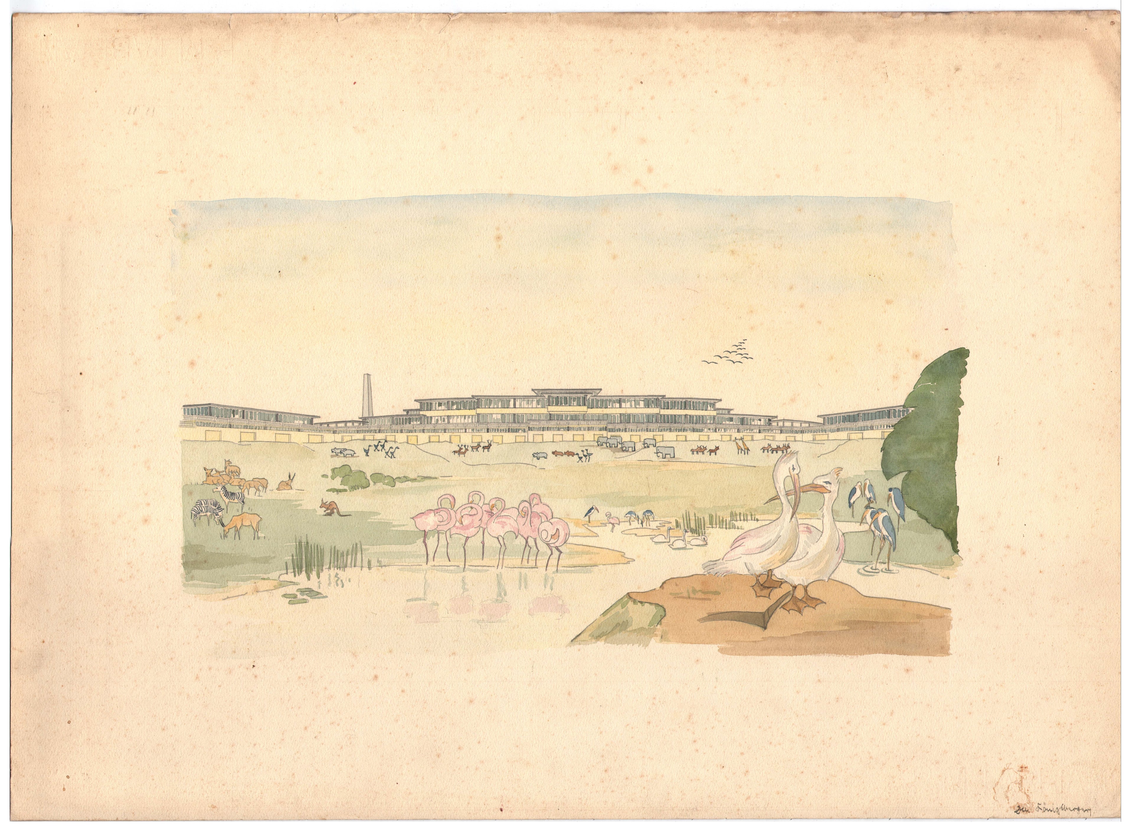 Otto Koenigsberger.  Otto Koenigsberger, Technische Hochschule Diploma Project, 'Zoological Garden', 1931. Credit: AA Archives: 2012:P147