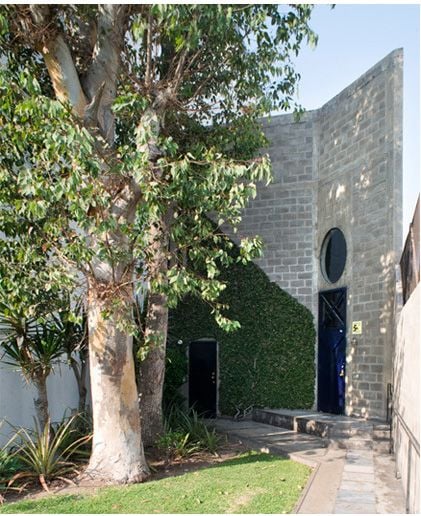 A modern stone building with a tall facade, large tree, and ivy-covered wall.
