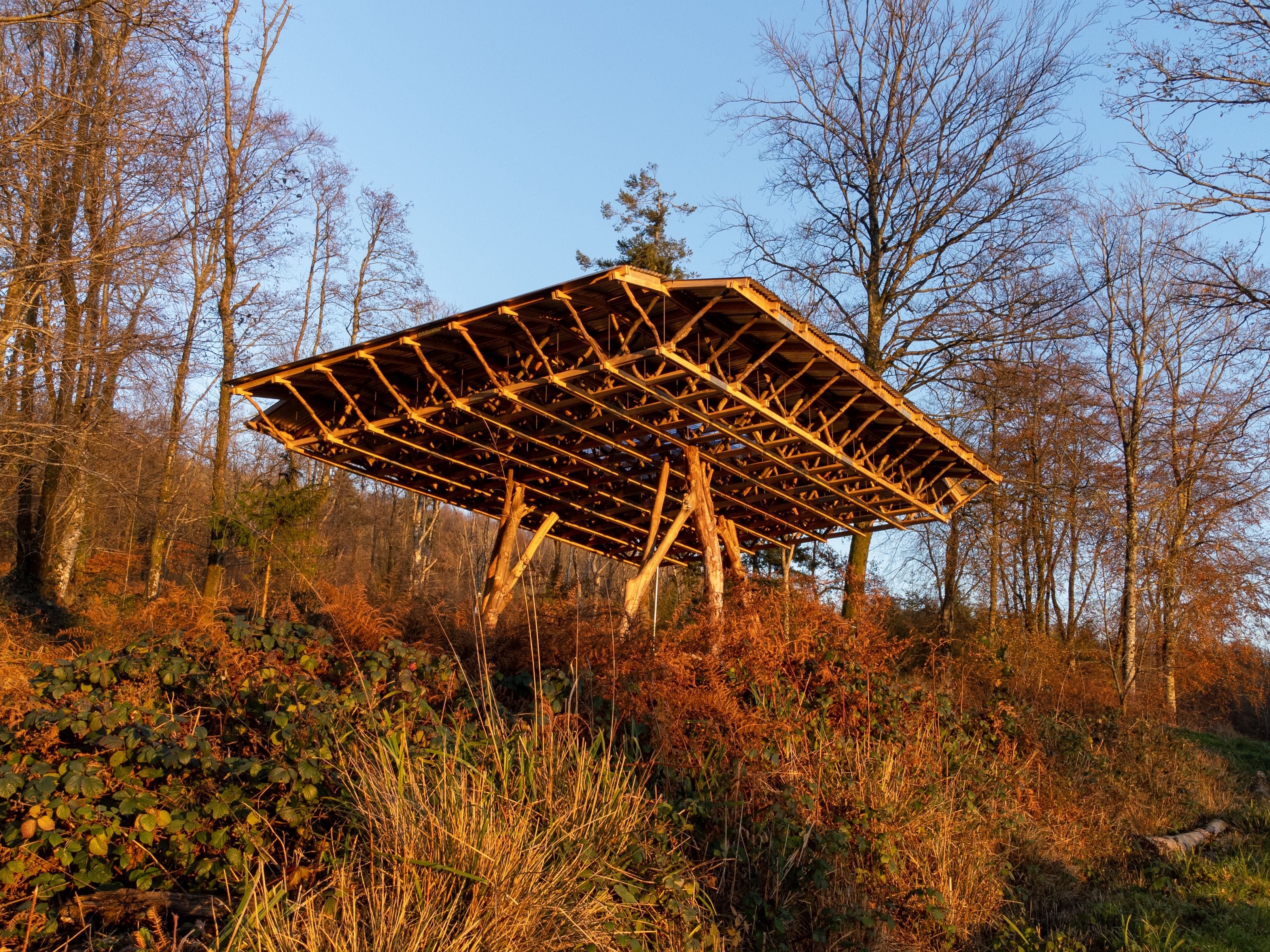 Wooden slatted roof structure on a sunlit hillside surrounded by trees.