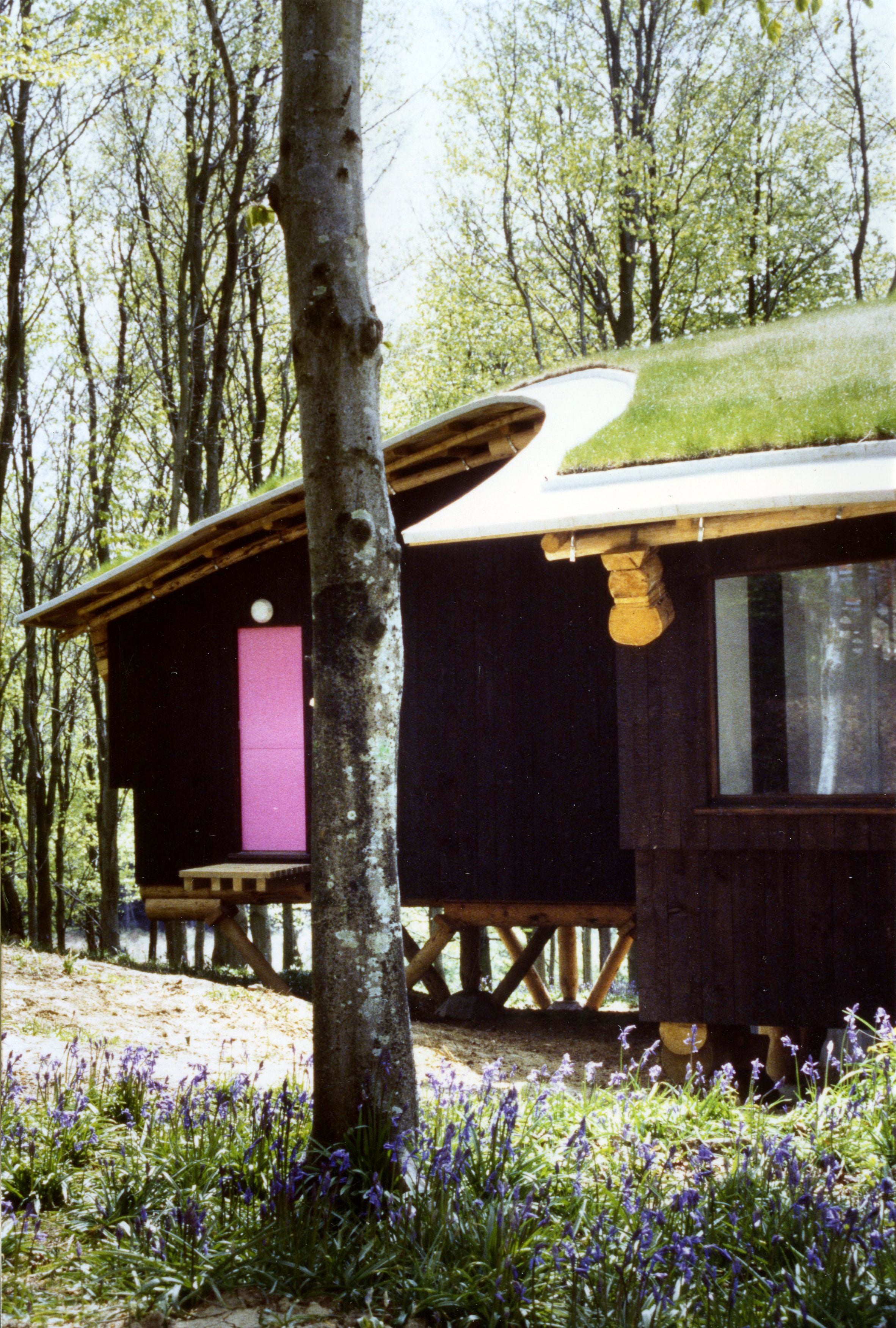 A small cabin with a green roof surrounded by trees and purple flowers.