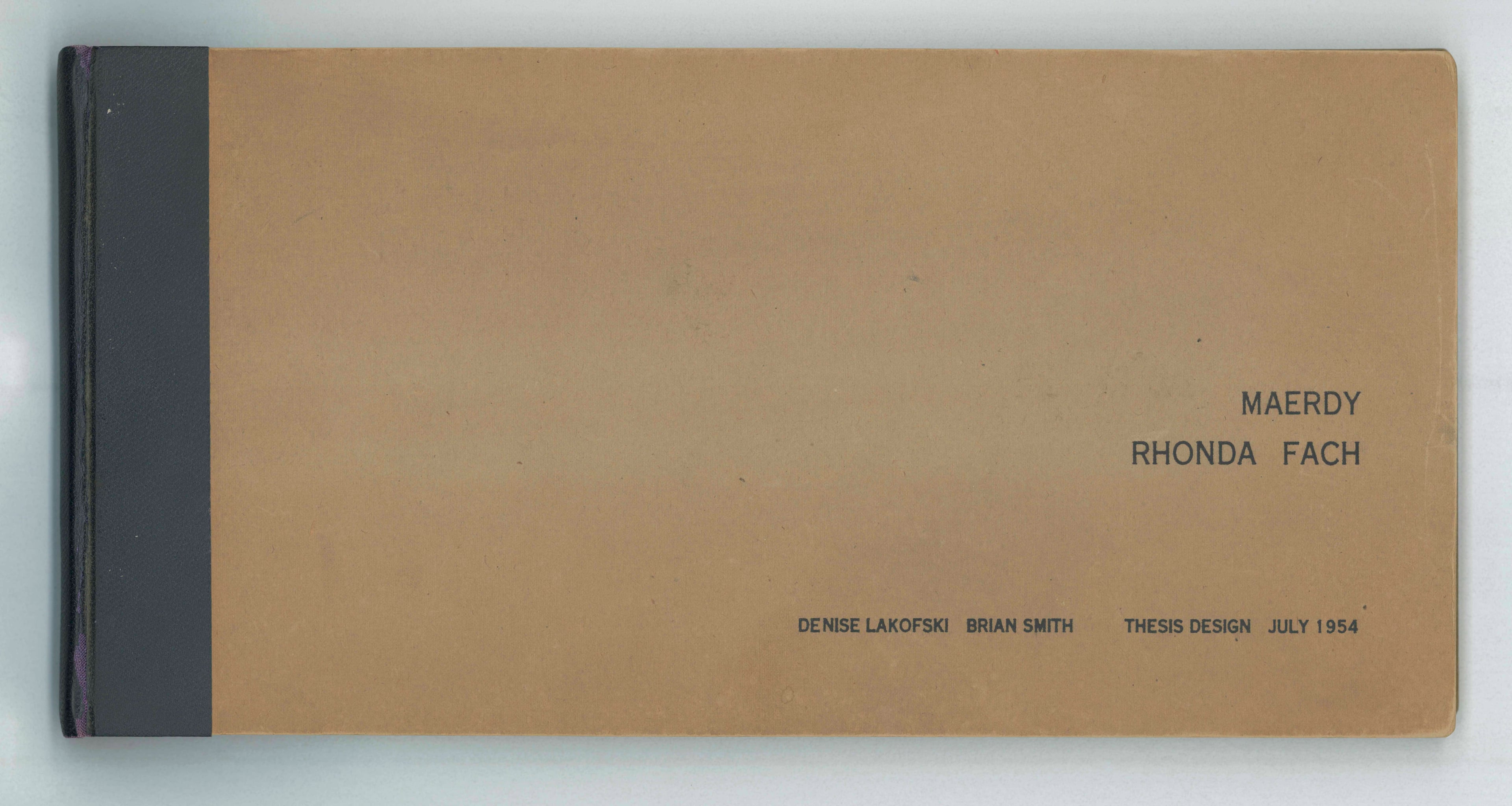 Denise Lakofski and Brian Smith, 'Maerdy Redevelopment, Rhondda Fach'. AA Fifth Year Thesis. The Architectural Archives, University of Pennsylvania. By the gift of Robert Venturi and Denise Scott Brown.