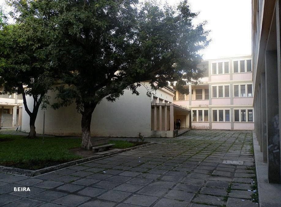 Courtyard of a building with large trees and a paved walkway.