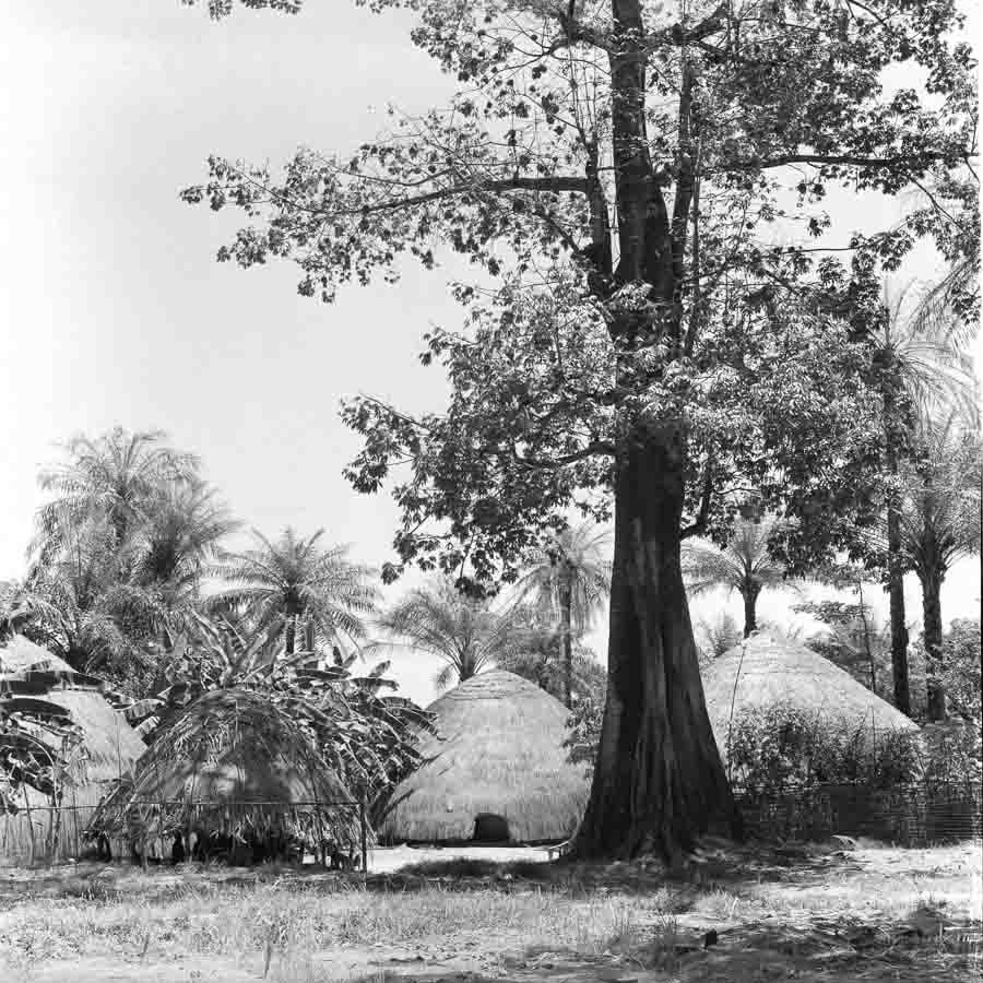 Thatched-roof huts are nestled amongst lush tropical foliage and trees.