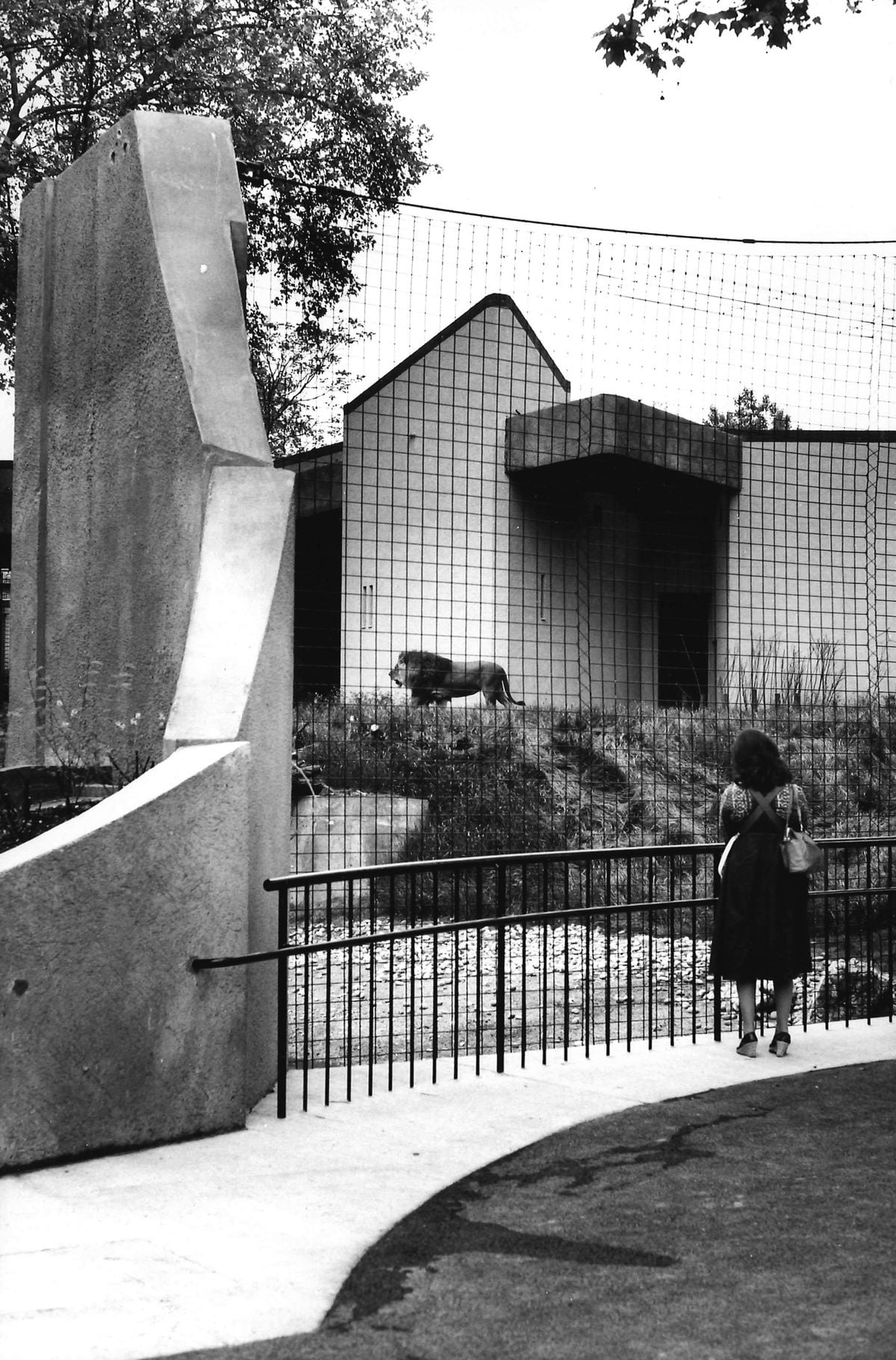 John Toovey, Lion Terraces, London Zoo, UK (1976)