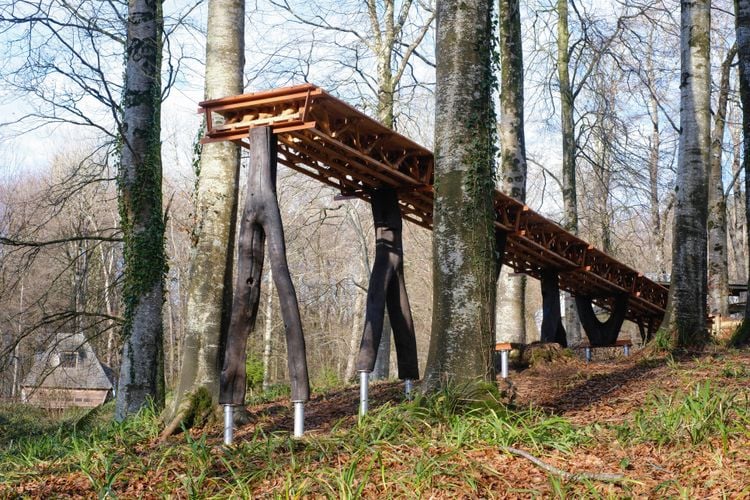 Elevated wooden walkway with dark stilts winding through a sparse, autumnal forest.