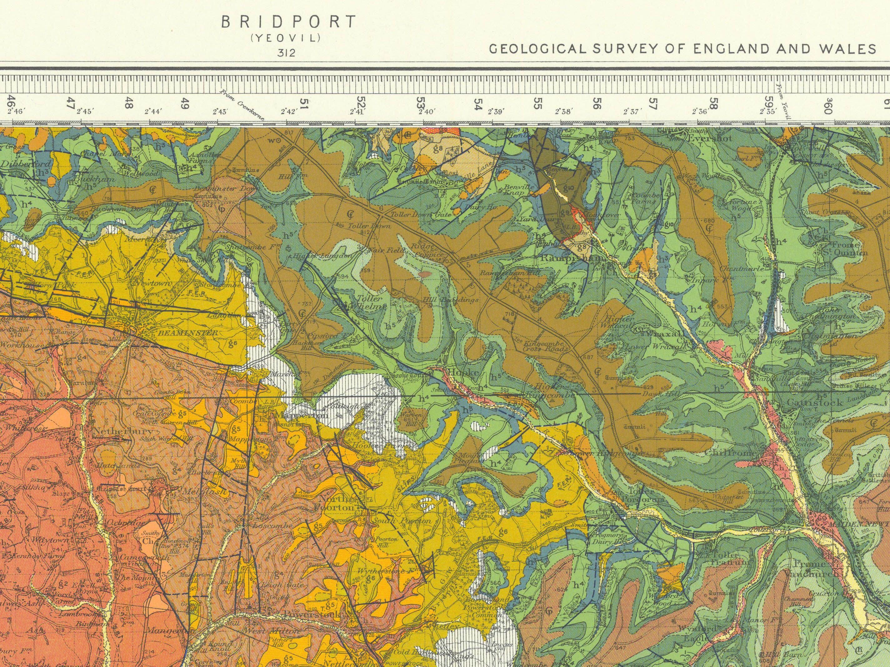 A coloured map showing the layers of geology under Dorset, with Hooke Park at the centre.