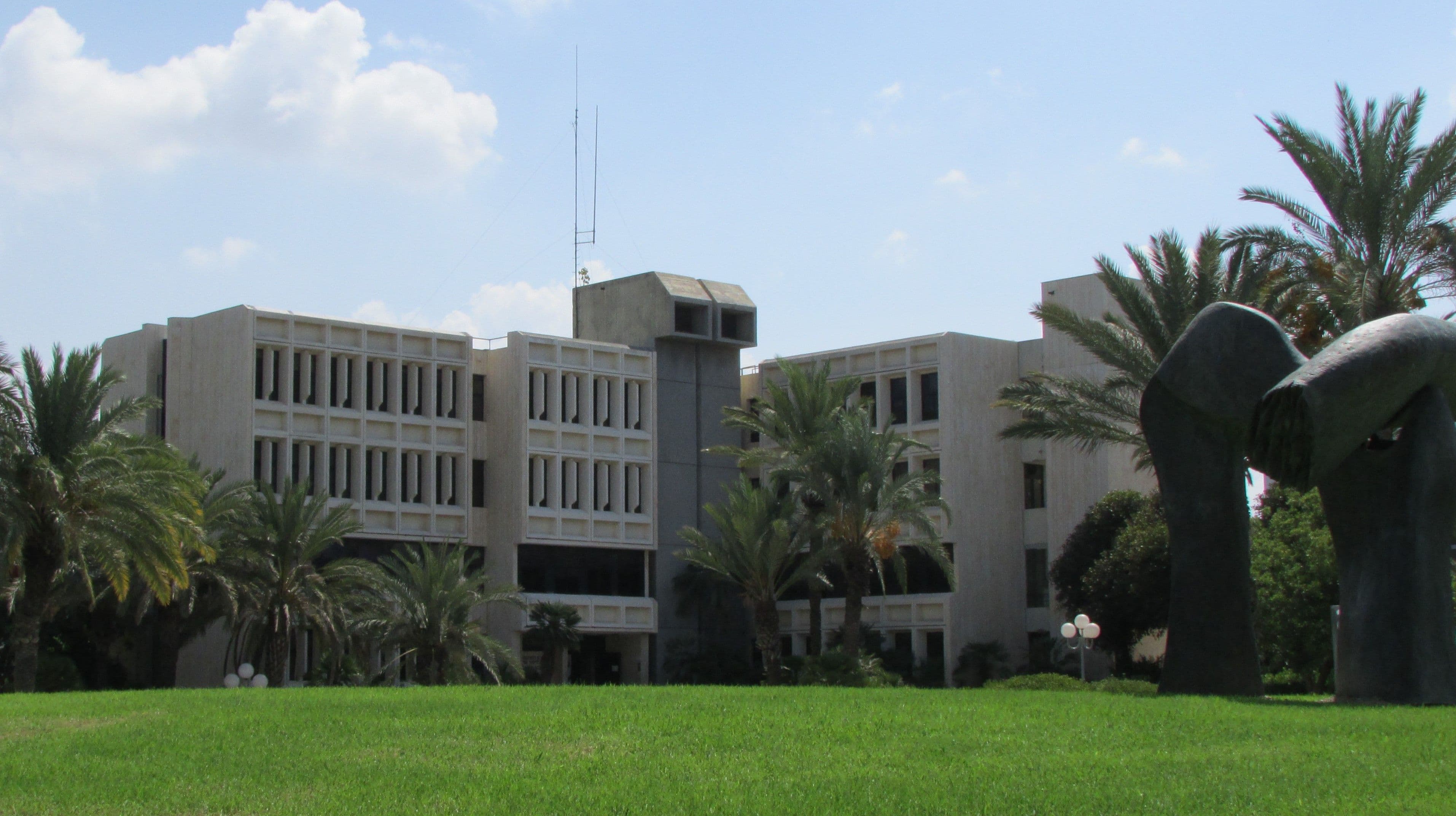 A modern concrete building with many windows is surrounded by palm trees and a grassy lawn.