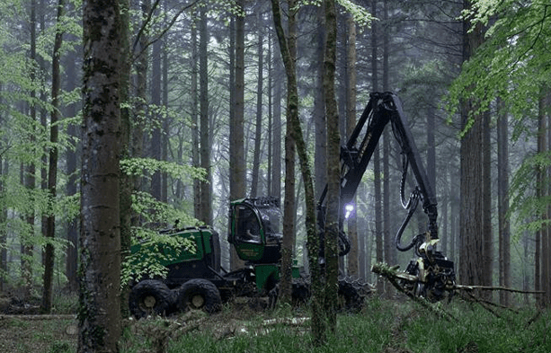 A forest harvester in the Hooke Park woodland.