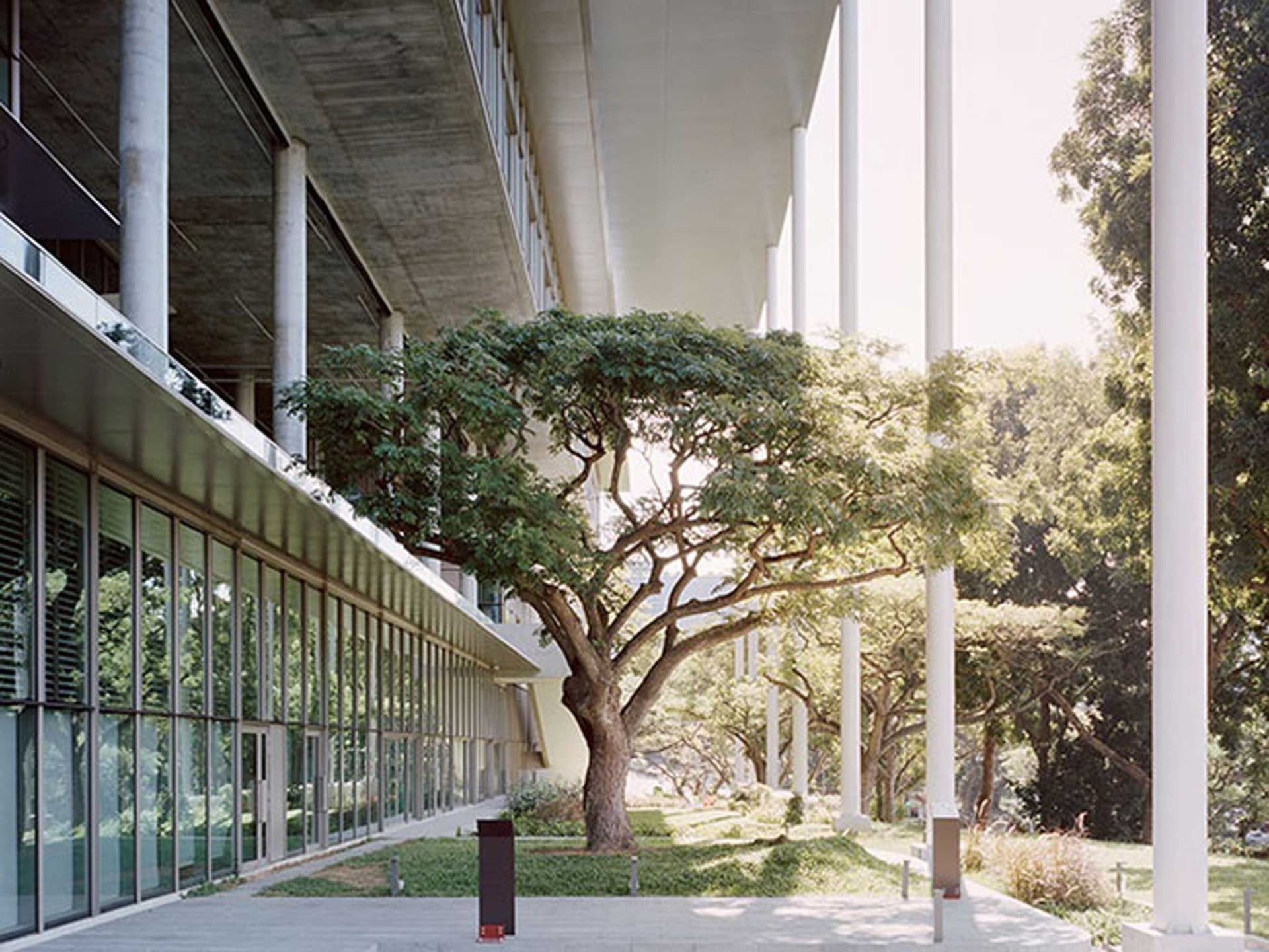 News item featured image