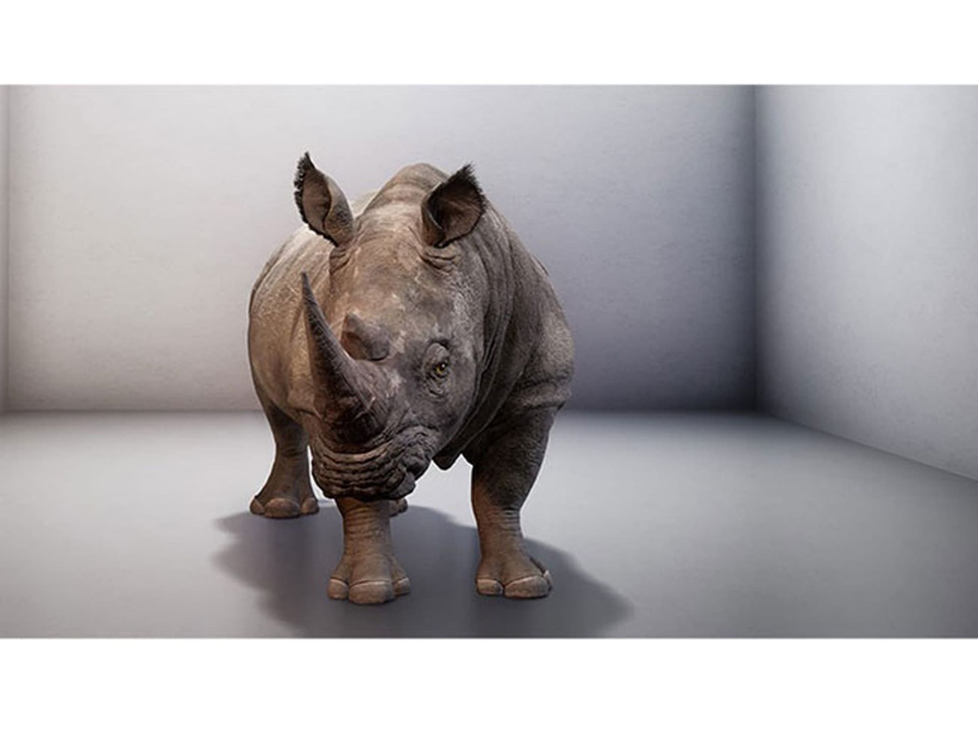 News item featured image