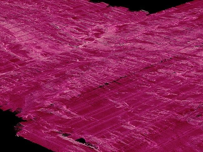 News item featured image