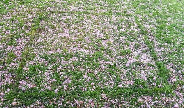 News item featured image