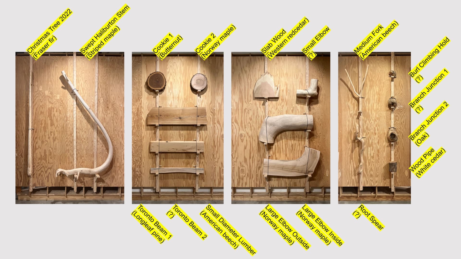 News item featured image