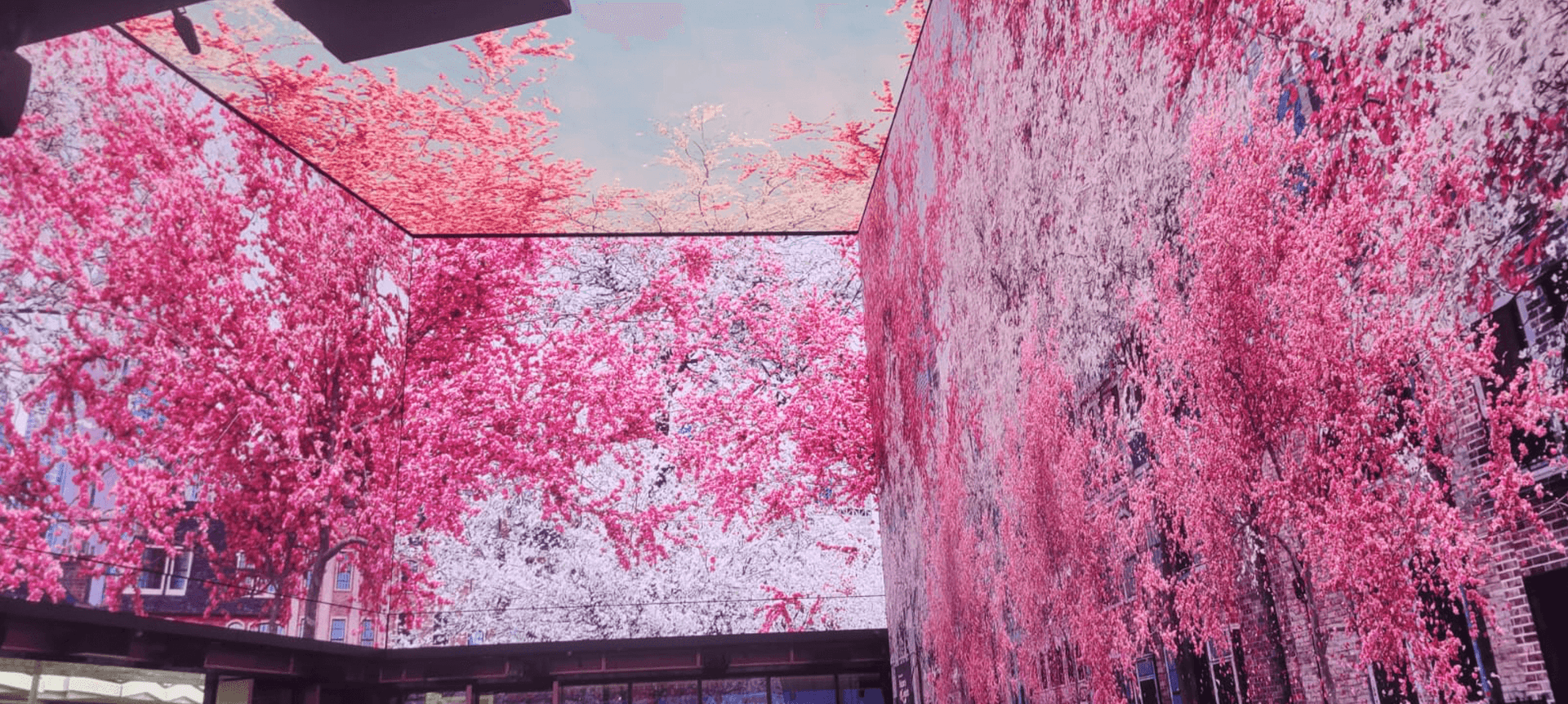 News item featured image