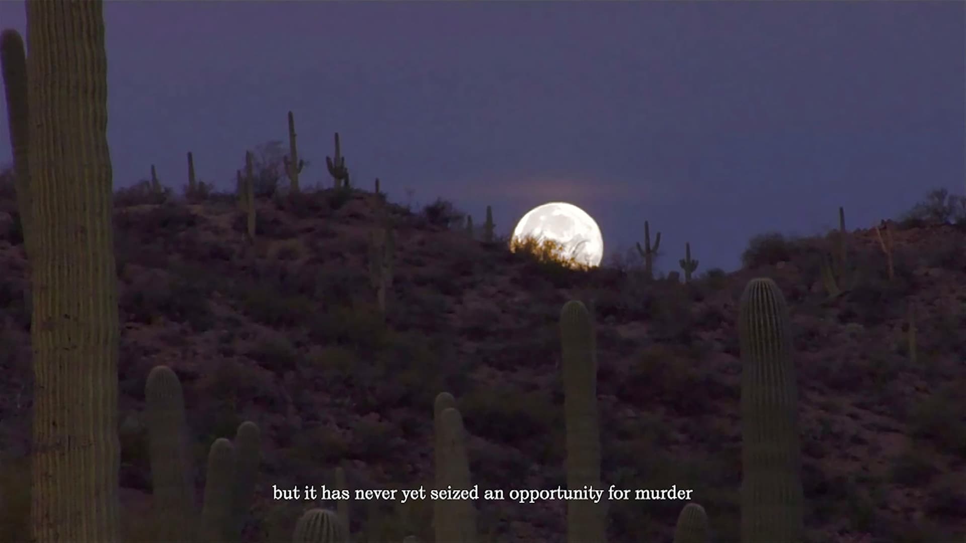 News item featured image