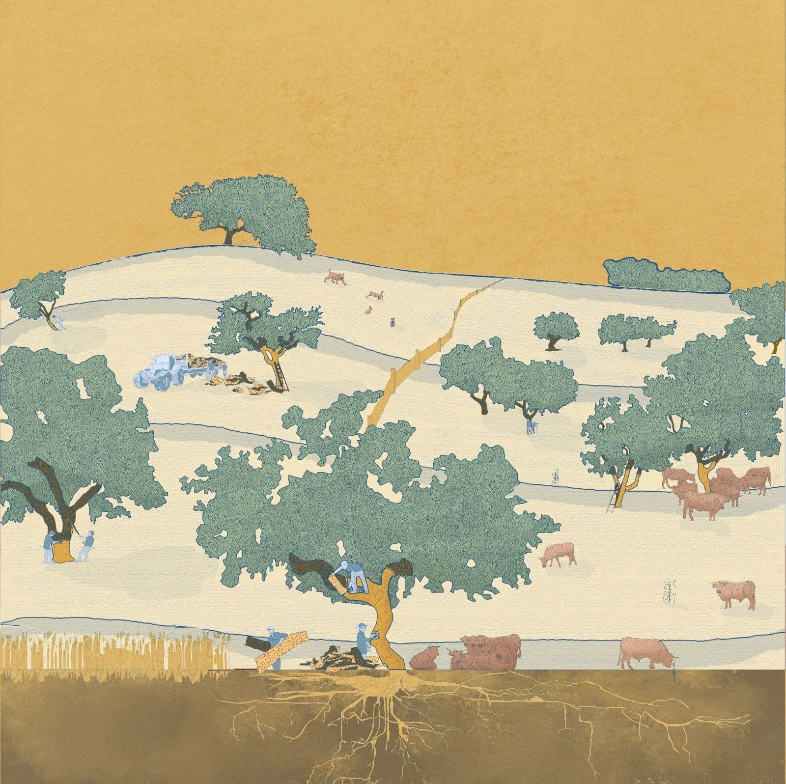 News item featured image