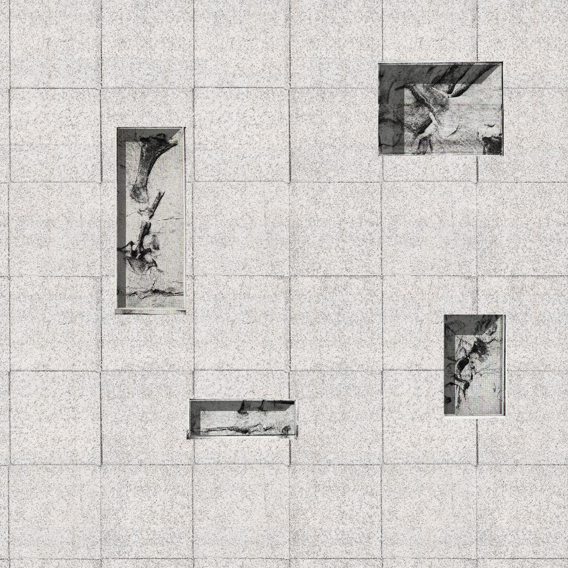 News item featured image