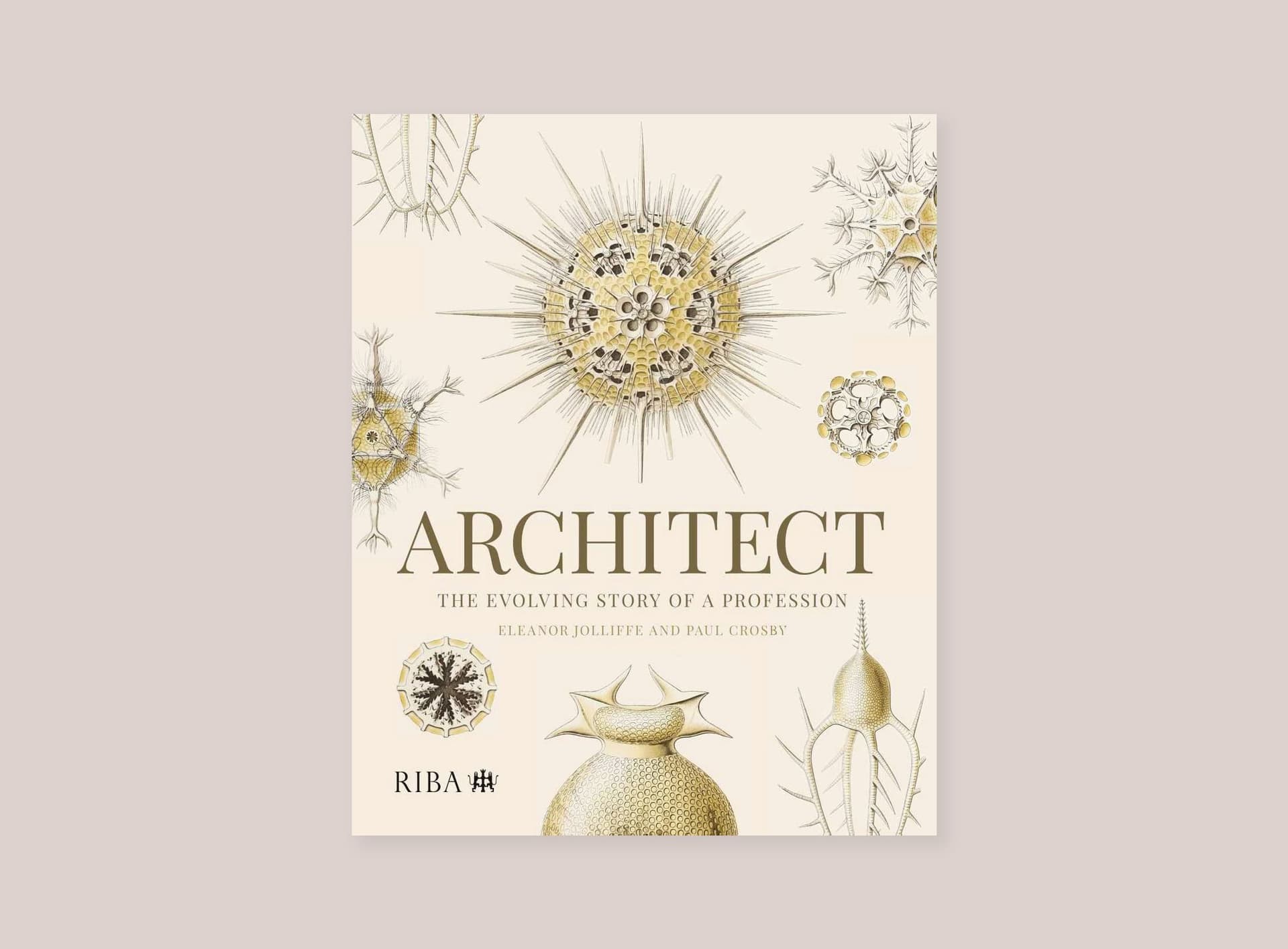 News item featured image