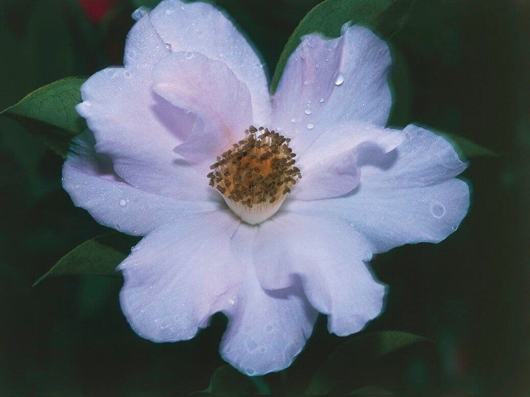 News item featured image