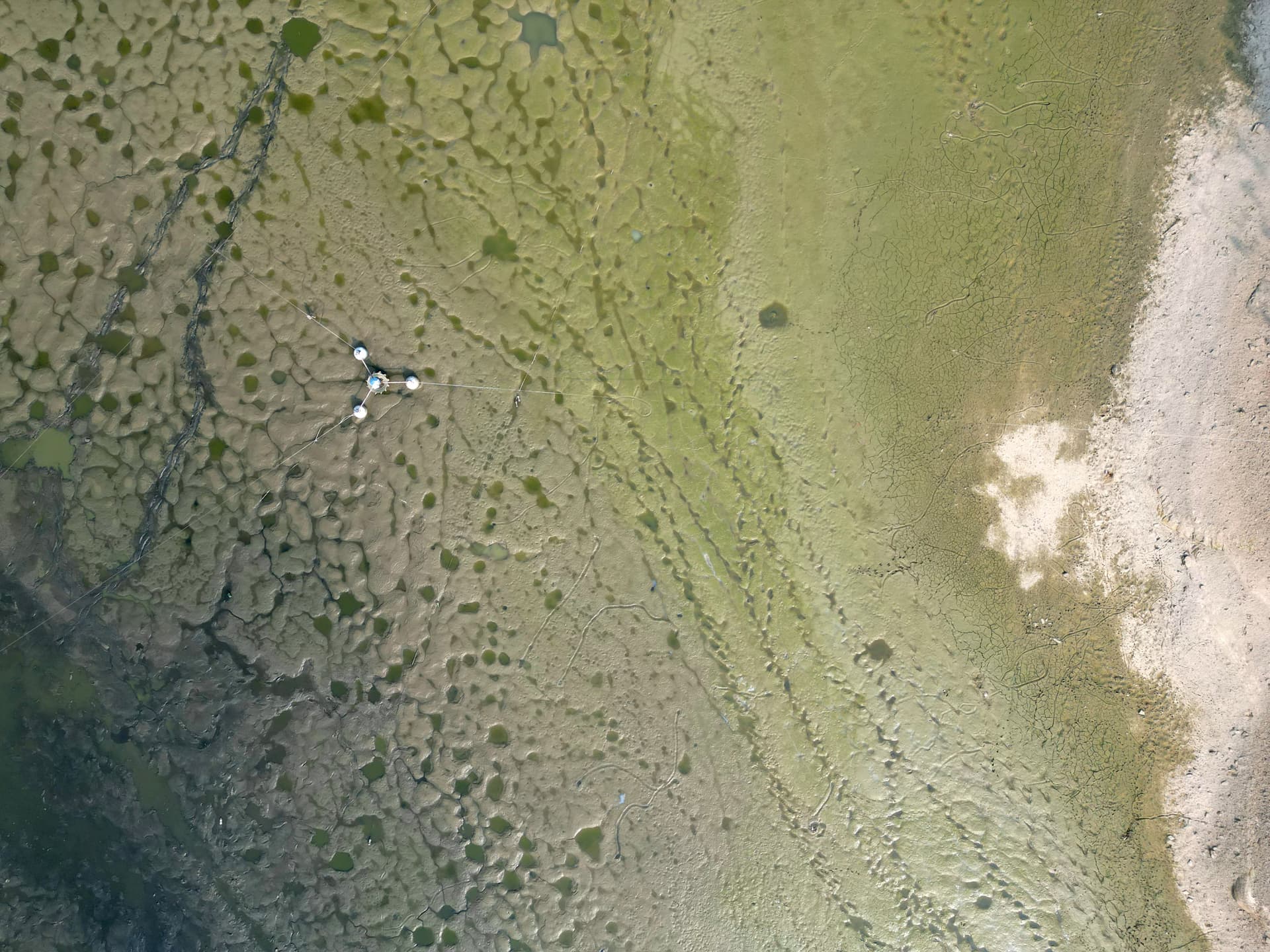 News item featured image