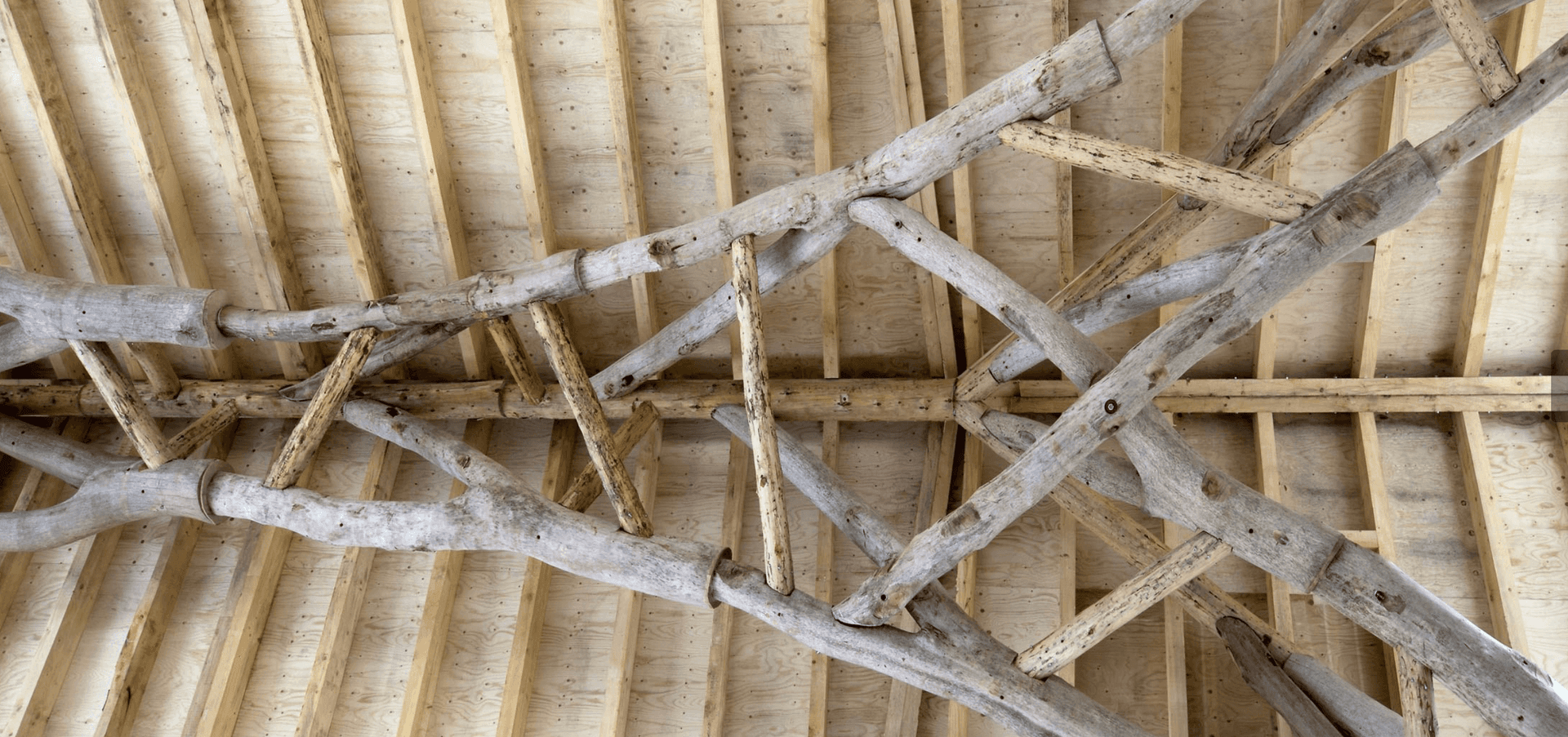 News item featured image