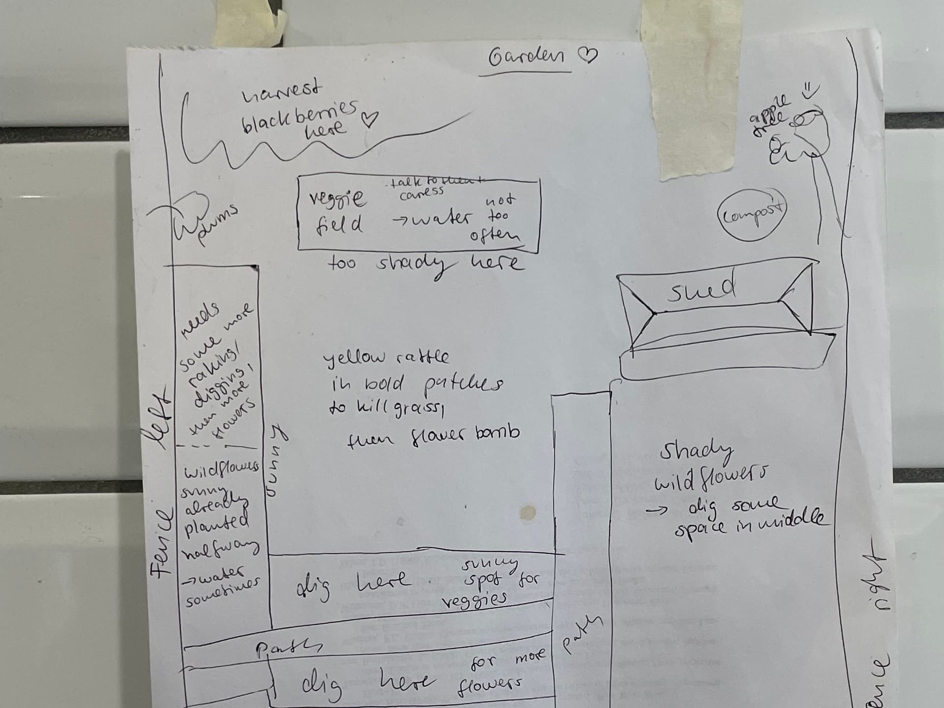 News item featured image