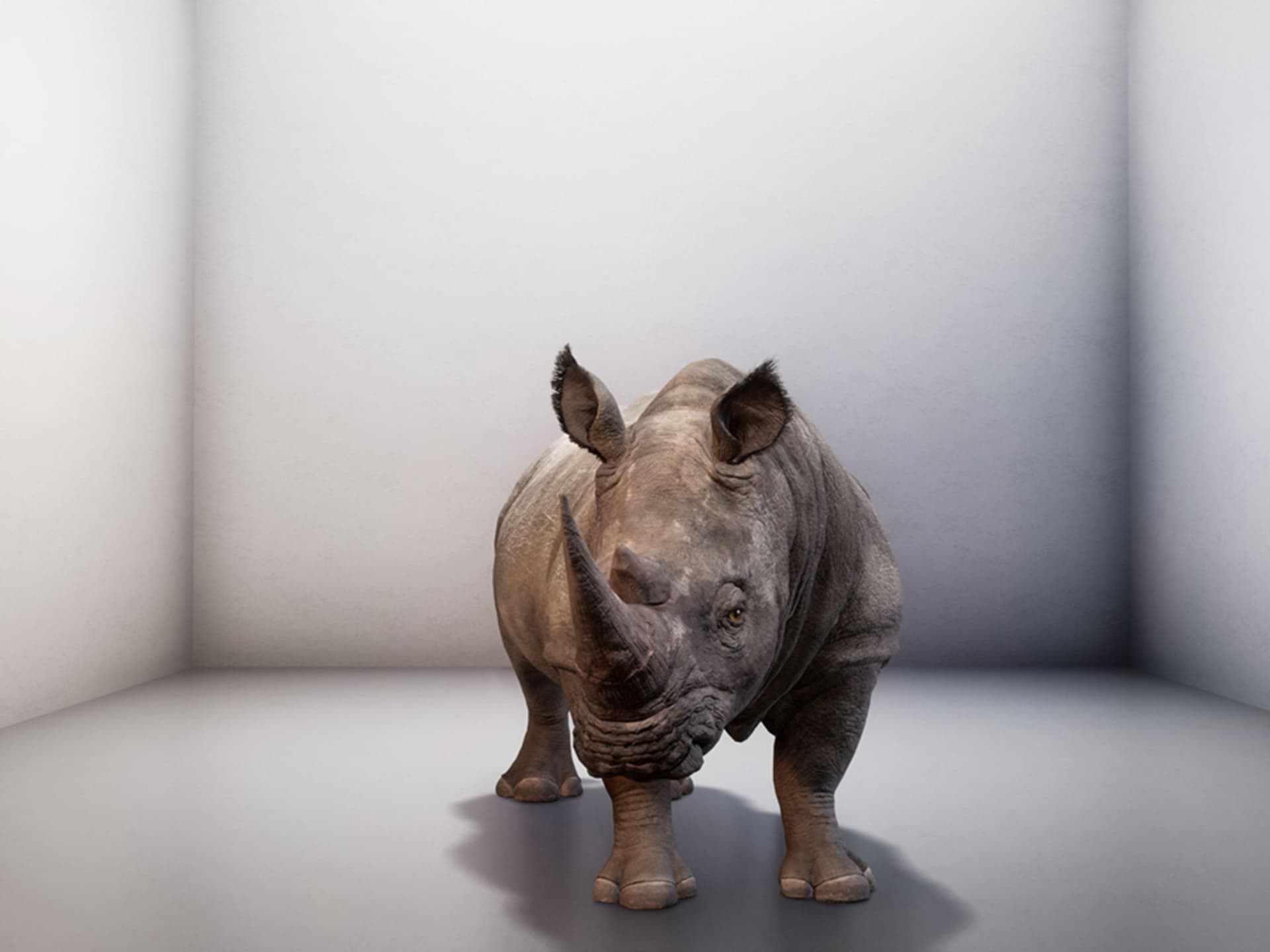 News item featured image